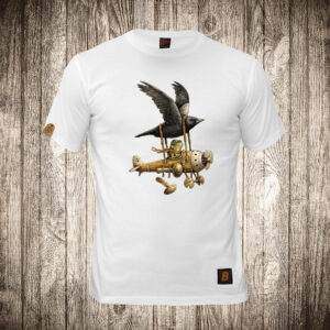 Gavran i žaba ( Avion )