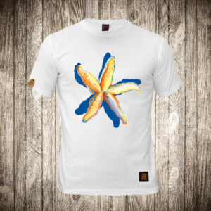 Morska zvezda ( Leto )